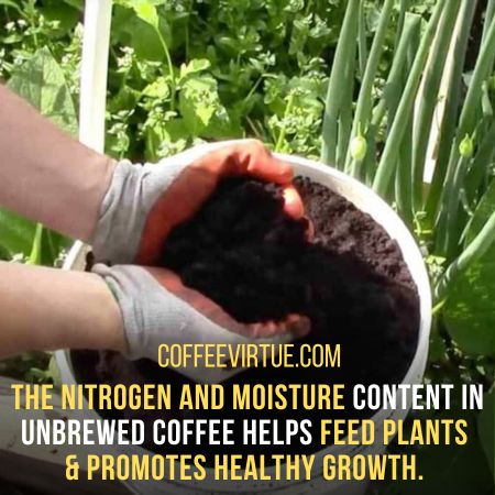 Uses For Unbrewed Coffee Grounds