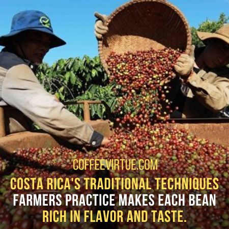 Where Does The Best Coffee Come From