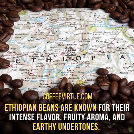 Where Does The Best Coffee Come From