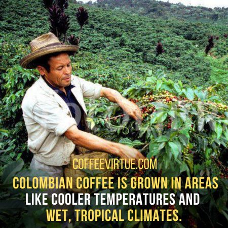 Colombian Vs. Ethiopian Coffee