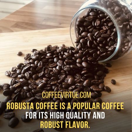 Robusta Coffee Vs. Arabica Coffee - Key Differences To Know