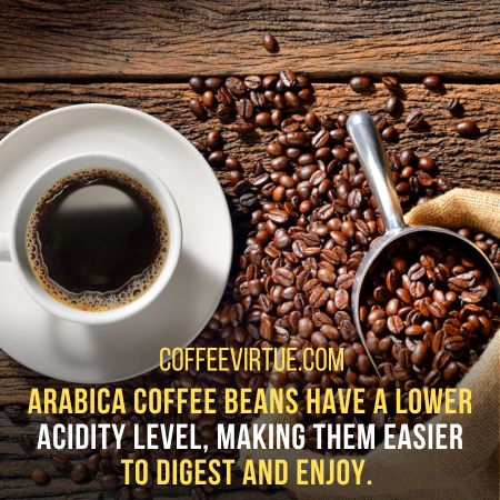 Robusta Coffee Vs. Arabica Coffee 