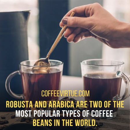 Robusta Coffee Vs. Arabica