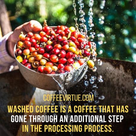 Washed Vs. Natural Coffee